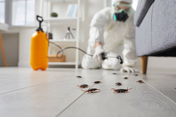 Trusted Rodent Control service in Harveys Lake, PA - Nex Pest Control