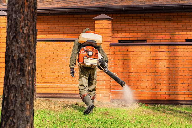 Trusted Termite Control service in Harveys Lake, PA - Nex Pest Control